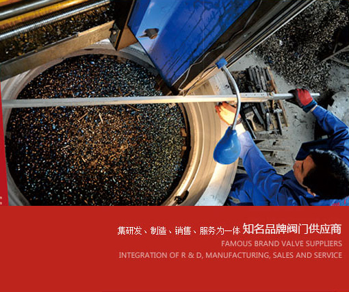 乐鱼股份有限公司生产车间实景